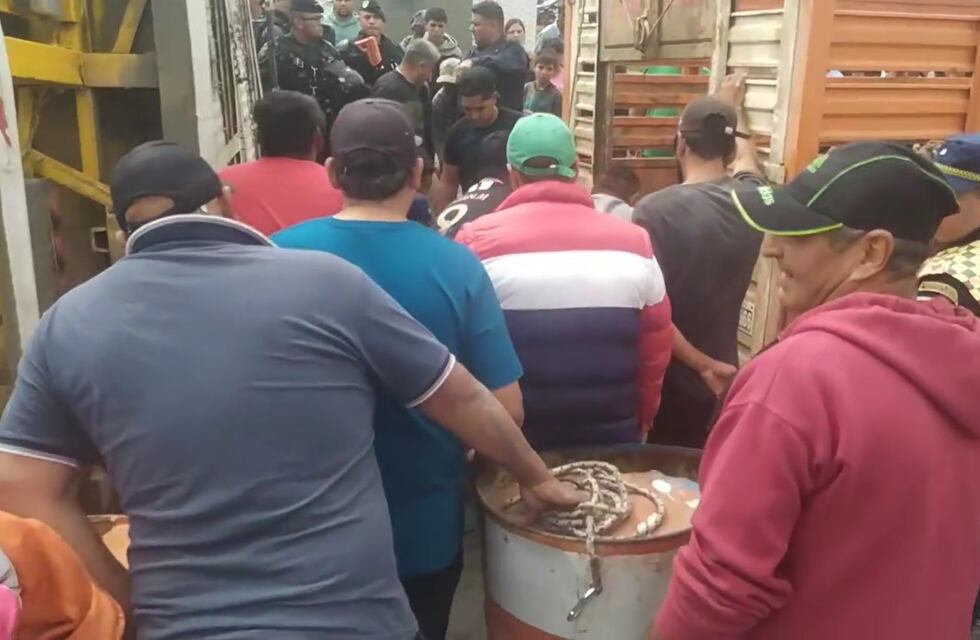 Imágenes sensibles: volcó un camión con cerdos en Jesús María y los vecinos intentaron llevárselos