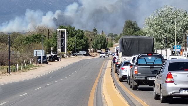 El siniestro ocurrió este sábado por la mañana en la localidad de Las Tapias, Córdoba.