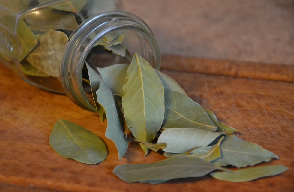No es solo para la cocina: dónde poner las hojas de laurel para atraer abundancia, según el Feng Shui