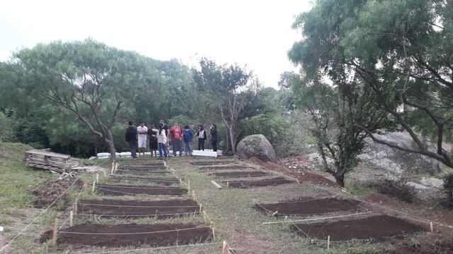 Huerta en el hogar de día "Villa Alegre".