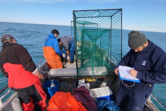Juan Pardiñas Dibern: “El fondo del mar guarda secretos que todavía estamos descubriendo”