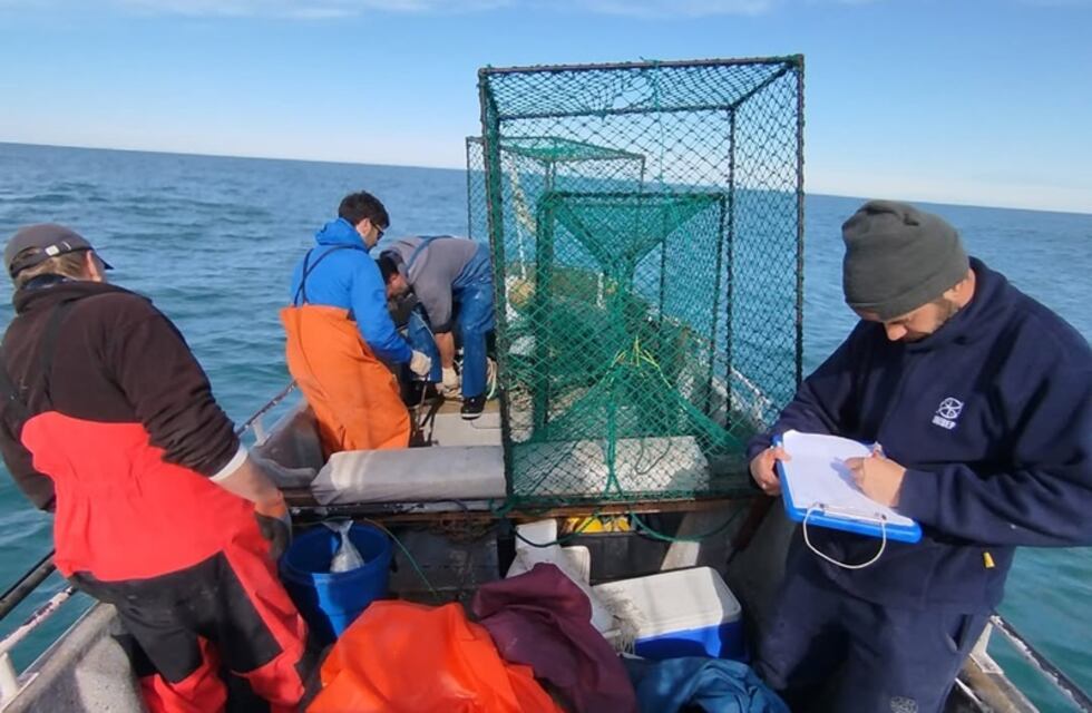 Juan Pardiñas Dibern: “El fondo del mar guarda secretos que todavía estamos descubriendo”