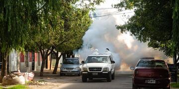 Prevención de dengue.