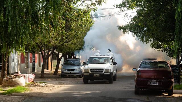 Prevención de dengue.
