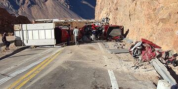 Un camión volcó en la ruta 7.