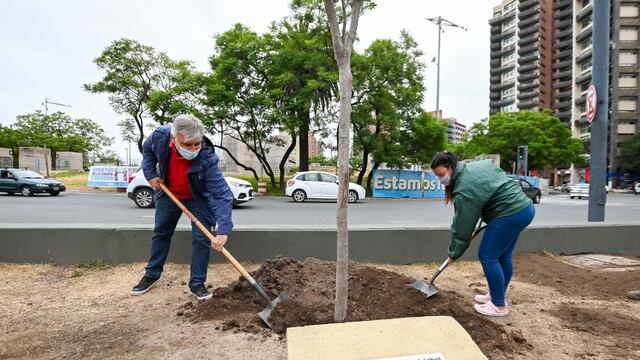Martín Llaryora plantó el árbol número 30 mil desde que es intendente (Prensa Municipalidad de Córdoba).