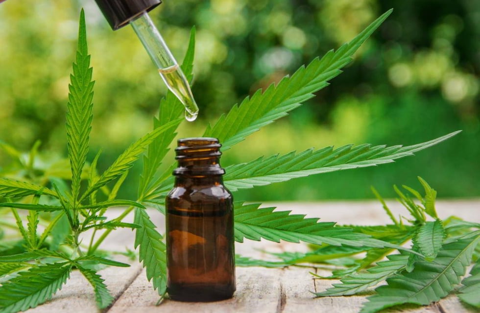 Científicas santafesinas descubrieron un nuevo uso terapéutico del cannabis medicinal en humanos