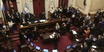 Sesión en senado. Foto Federico Lopez Claro