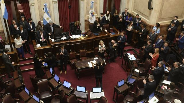 Sesión en senado. Foto Federico Lopez Claro
