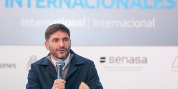 Pullaro defendió el cobro de Ingresos Brutos a las fintech