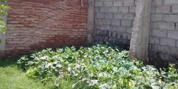 Hundimientos en casas de La Punta