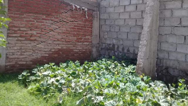 Hundimientos en casas de La Punta