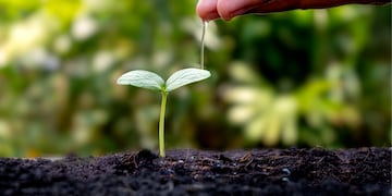 La apuesta global de una empresa en Argentina que promete dejar un impacto positivo en el planeta