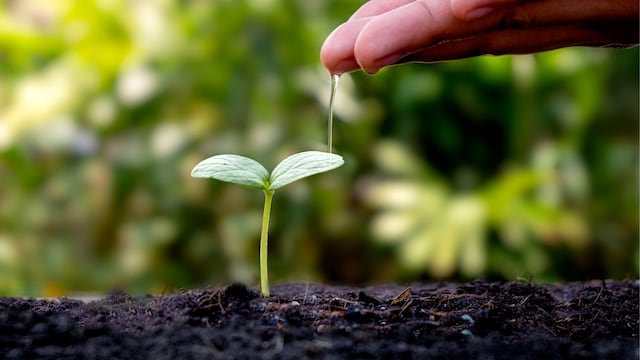 La apuesta global de una empresa en Argentina que promete dejar un impacto positivo en el planeta