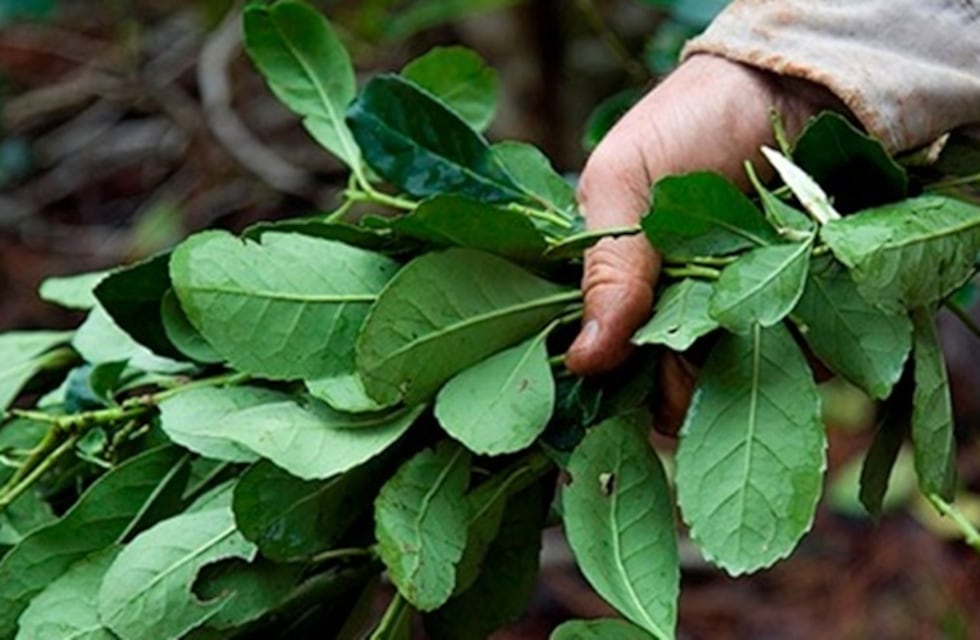 Tres detenidos por el homicidio del tarefero en El Soberbio