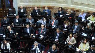El oficialismo logró sancionar en el Senado el proyecto de Sergio Massa sobre impuesto a las Ganancias (Foto: Federico López Claro)