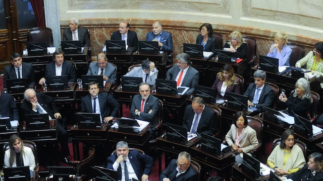 El oficialismo logró sancionar en el Senado el proyecto de Sergio Massa sobre impuesto a las Ganancias (Foto: Federico López Claro)
