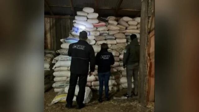 Secuestran toneladas de soja en allanamientos simultáneos en El Soberbio, 2 de Mayo y Eldorado.