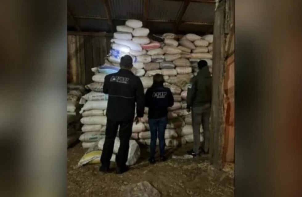 Secuestran toneladas de soja en allanamientos simultáneos en El Soberbio, 2 de Mayo y Eldorado