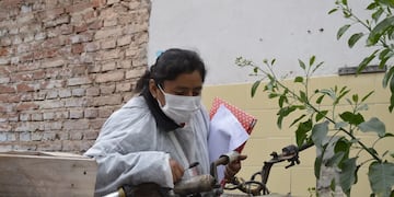 La respuesta sanitaria al brote de dengue en Jujuy es sostenida en todos los frentes, aseguran las autoridades.
