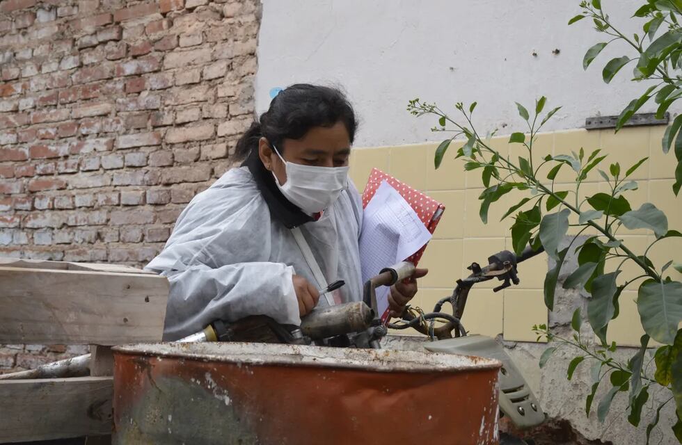 Dengue en Jujuy: decrece a 25 la cifra de pacientes en internación