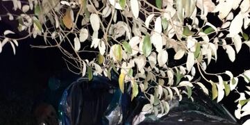 Colonia Victoria | Dos jóvenes murieron y otros dos resultaron heridos tras un despiste
