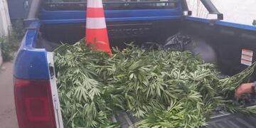 Detenidos con 10kg de marihuana