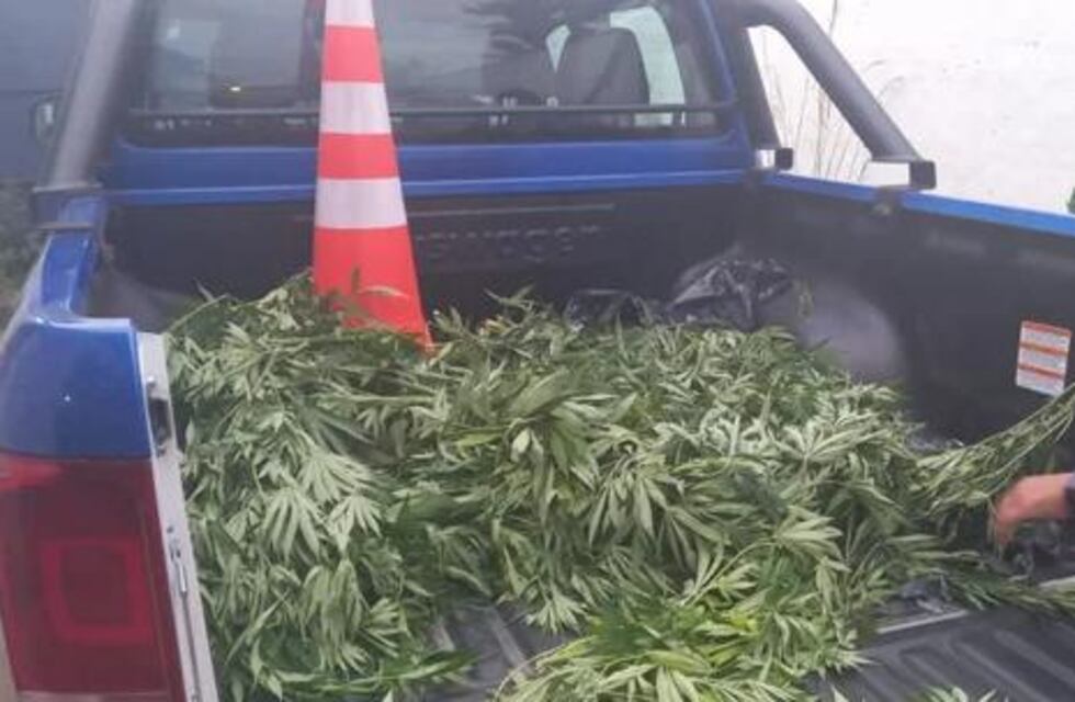Dos detenidos en la vía pública por llevar casi 10 kilos de marihuana