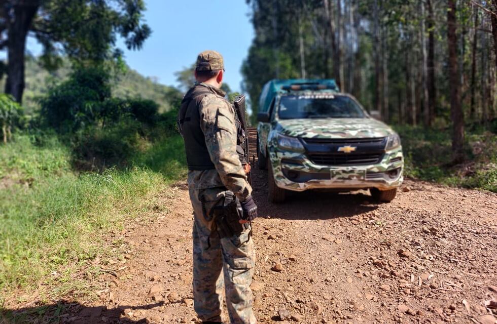 Recuperan madera nativa robada en San Ignacio