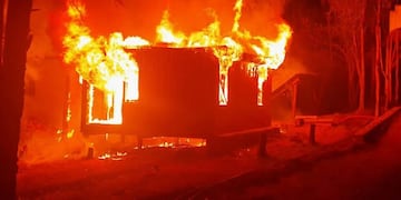 Una salamandra fue el origen del desastre, en el que por suerte no hubo heridos.