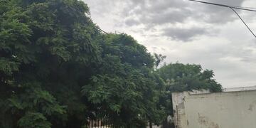 Se aguarda un jueves con baja de temperatura en Punta Alta.