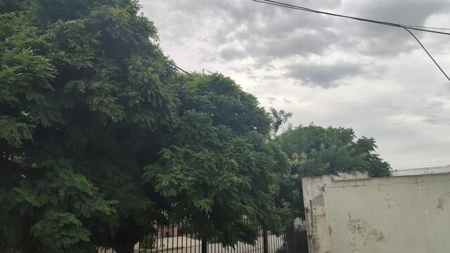 Se aguarda un jueves con baja de temperatura en Punta Alta.