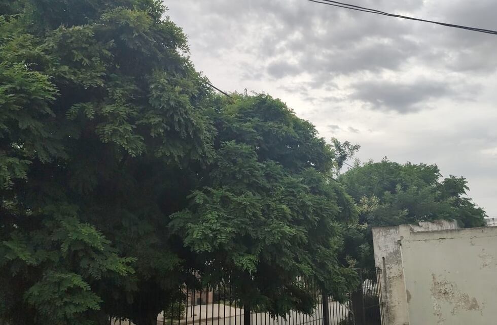 Tras un miércoles con 41 grados, el jueves será un día fresco