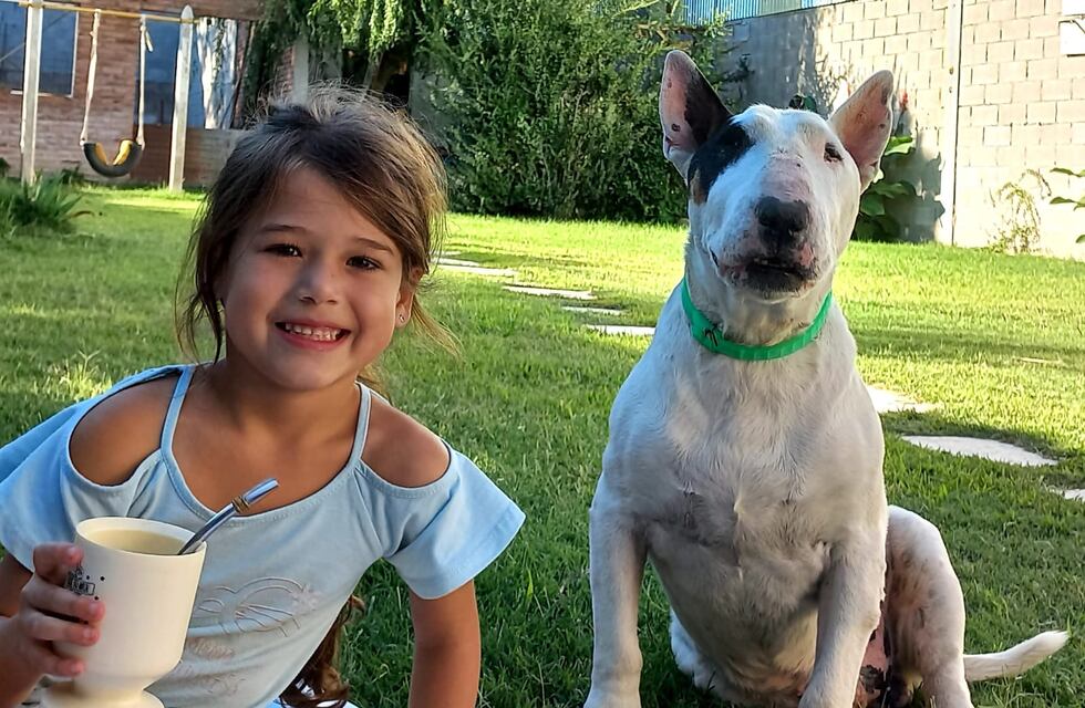 Día Mundial del Perro: las más tiernas fotos de los puntanos con sus mascotas