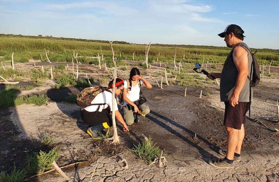 Ansenuza Salvaje: aventurero encuentro con el aguará guazú