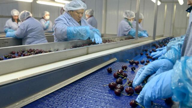 Envío de Cereza a China, EE.UU. y Europa