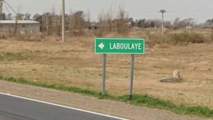 Detuvieron a dos personas por el crimen de un perro.