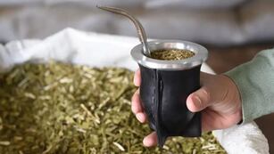 El 30 de noviembre se conmemora el Día Nacional de la Yerba Mate