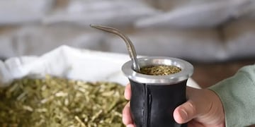 El 30 de noviembre se conmemora el Día Nacional de la Yerba Mate