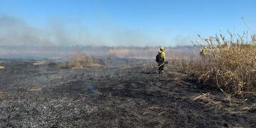 Incendios en Santa Fe (Protección Civil de Santa Fe).
