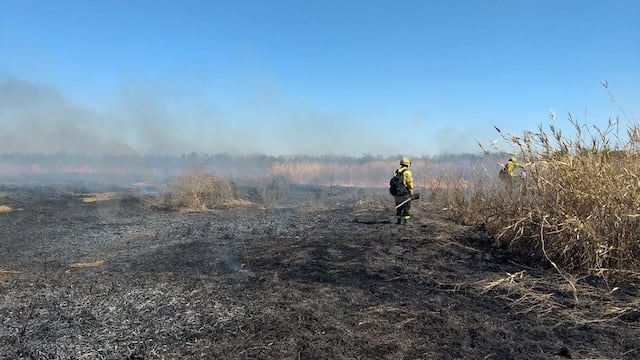 Incendios en Santa Fe (Protección Civil de Santa Fe).