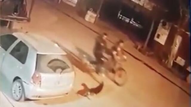 El momento en el que un joven dispara a un perro en la vía pública