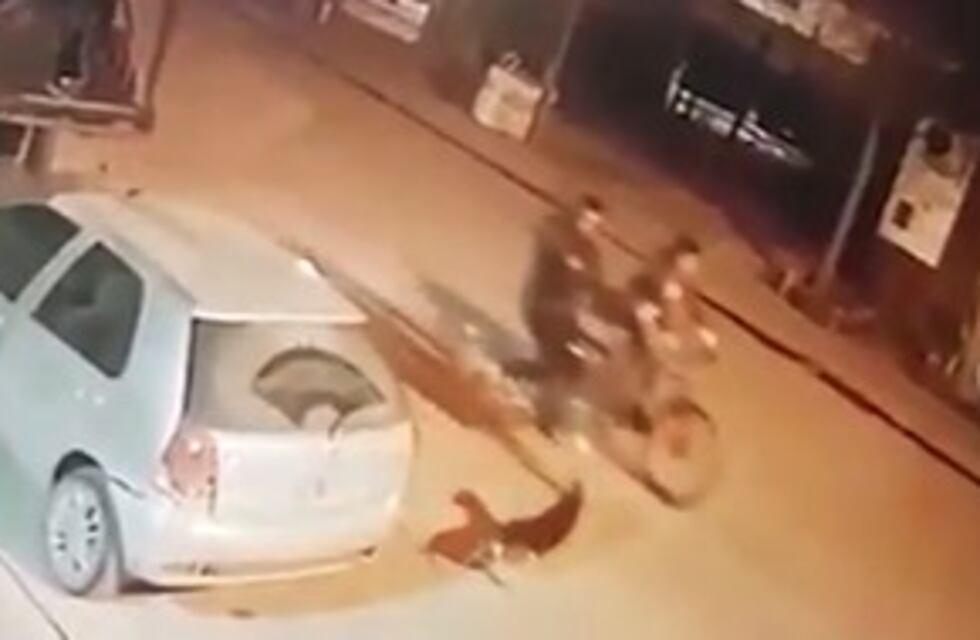 Paseaba en bicicleta, sacó un arma y mató a un perro de un barrio en Neuquén