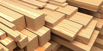 Expo Madera 2024 en Concordia.