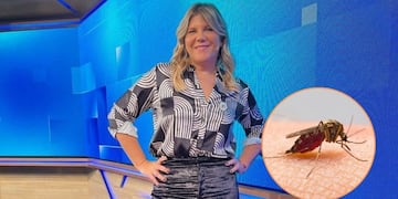 El truco casero de Dominique Metzger para aliviar las picaduras de mosquitos.