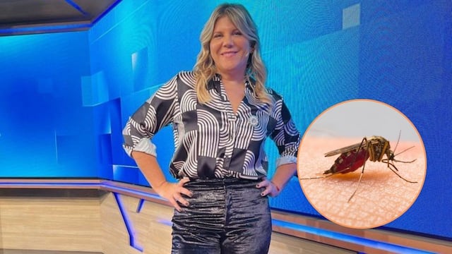 El truco casero de Dominique Metzger para aliviar las picaduras de mosquitos.