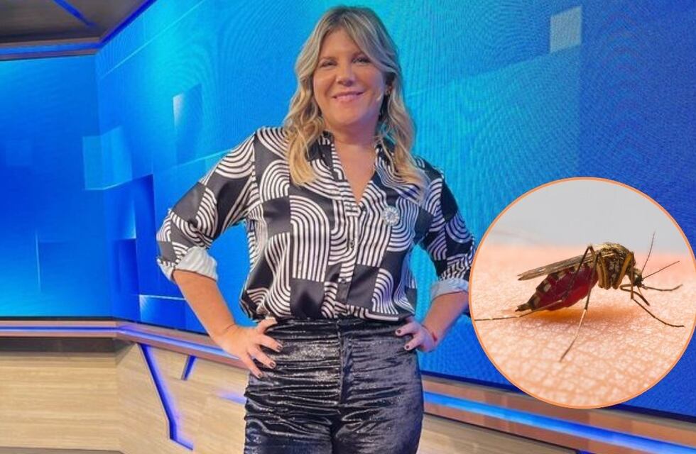 El truco casero de Dominique Metzger para aliviar las picaduras de mosquitos con un solo ingrediente