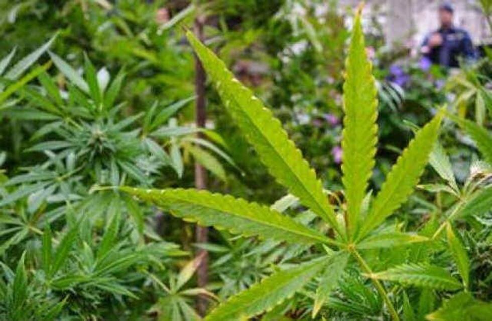 Córdoba insólita: los allanaron por maltrato animal y encontraron un búnker de drogas
