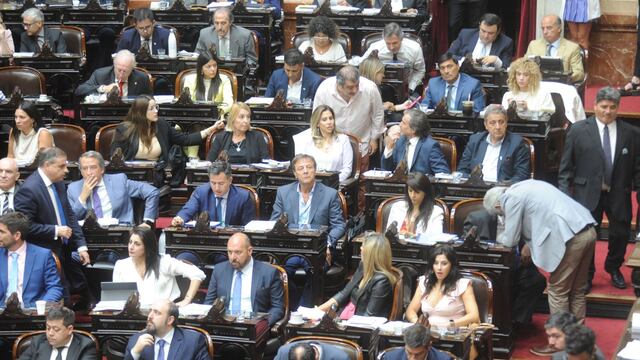 El bloque de diputados de La Libertad Avanza en la sesión por la "ley ómnibus" (Foto: Federico López Claro)