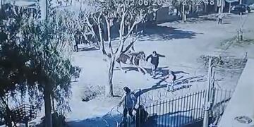 Las imágenes del instante previo a la embestida del caballo. Foto: Captura de video.